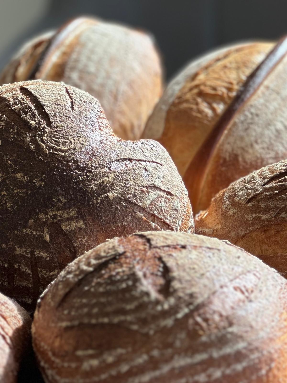 Brood basis workshop